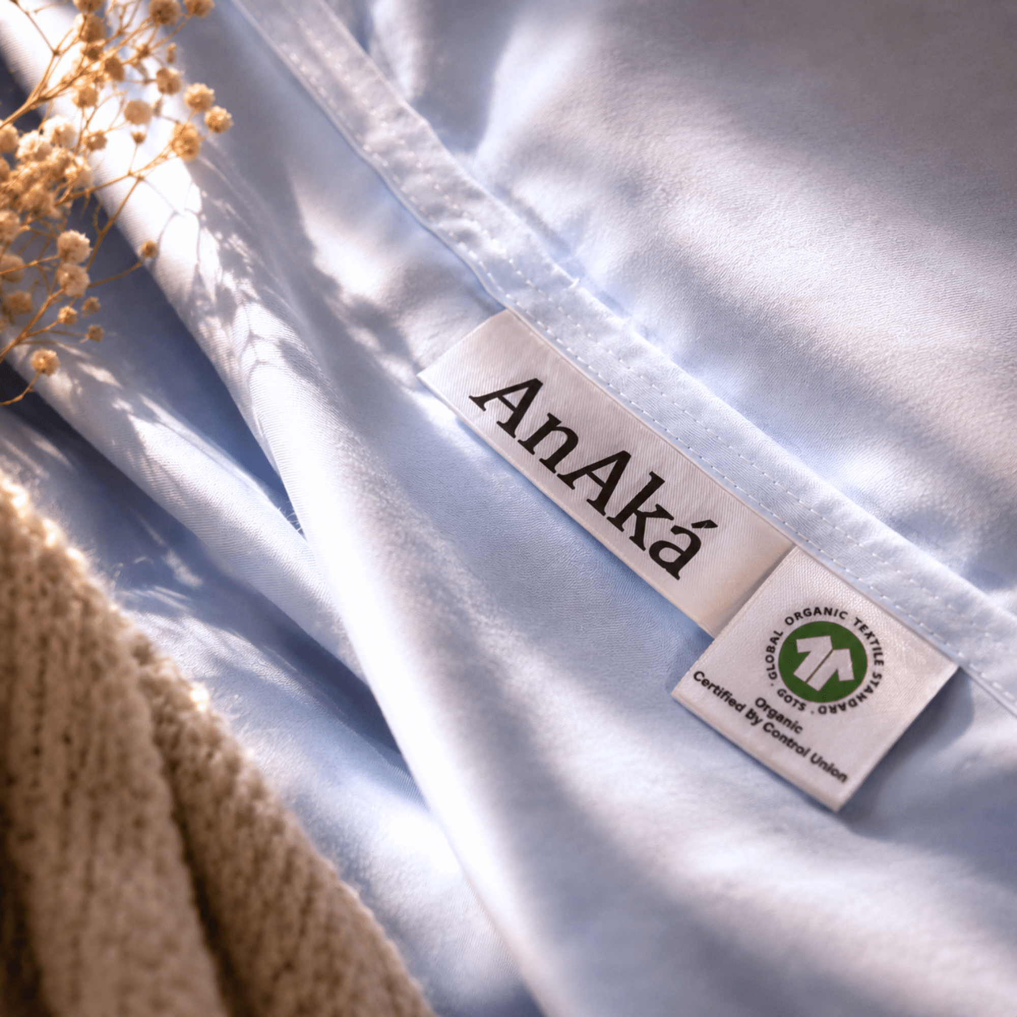 Cloud Blue - AnAká