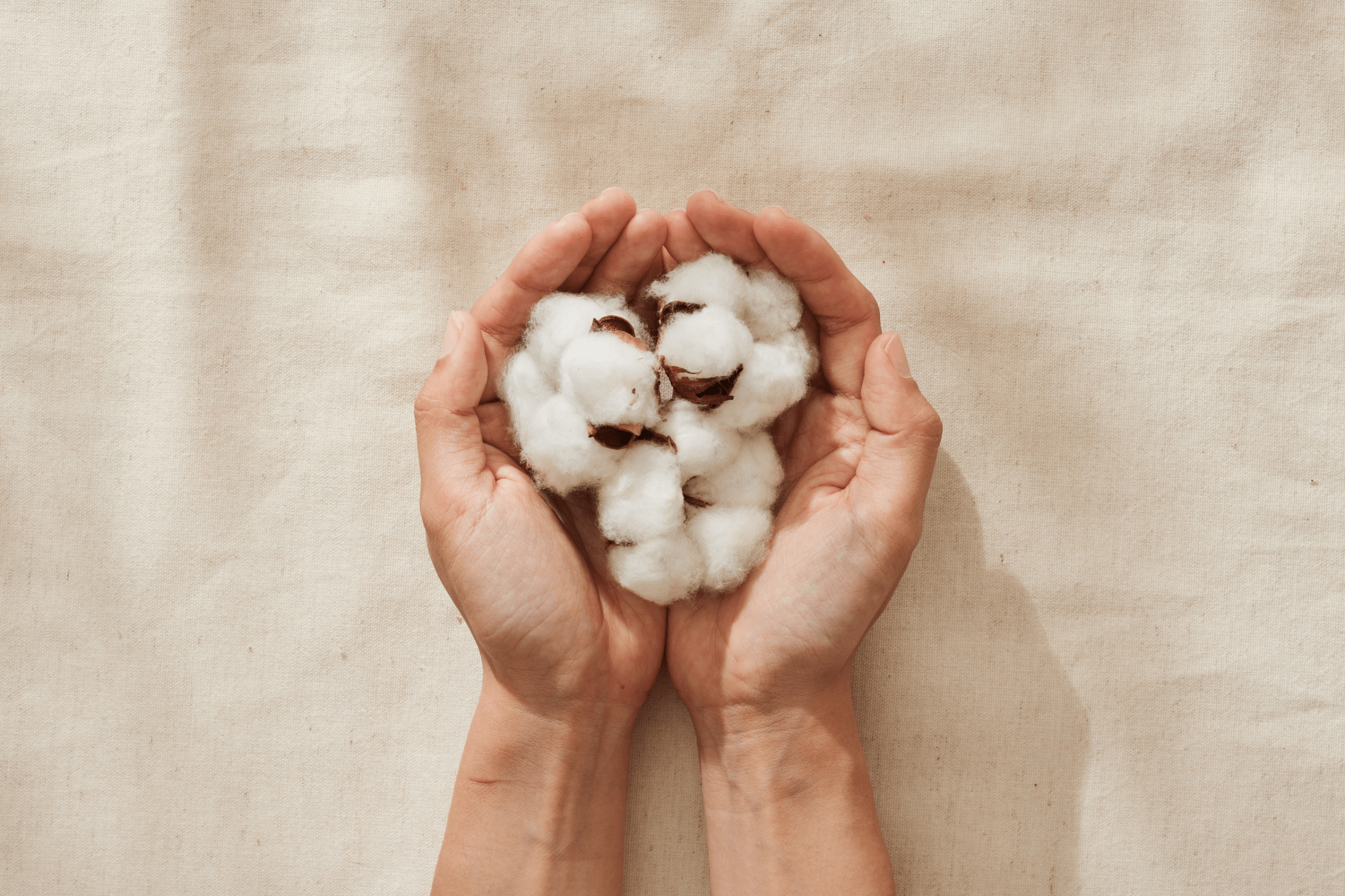 From Organic Cotton Fields to Luxury Bedding: The AnAká Journey - AnAká